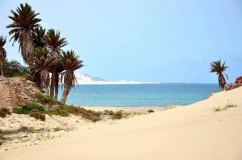 Cap vert ile de boa vista dunes