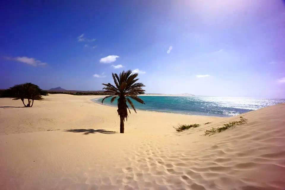 Plages de sable blanc et dunes à Boa Vista, Cap-Vert
