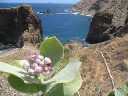 île de brava au Cap vert : Brava Sol na baia
