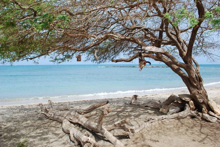 île de maio au Cap vert : Paysage de Maio