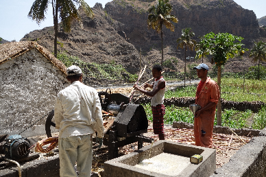 Cap vert ile de santo antao grog.png