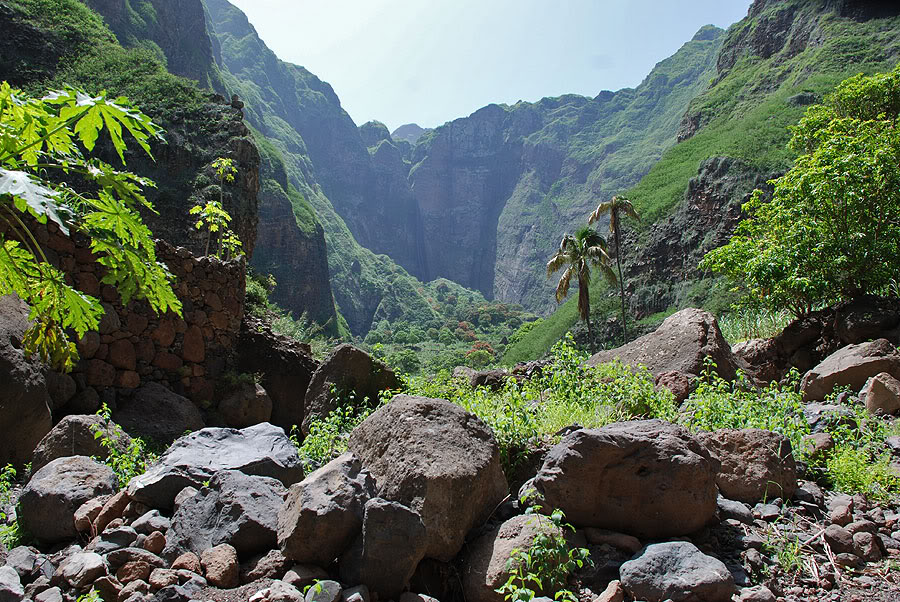 Cap vert ile de santo antao junglel