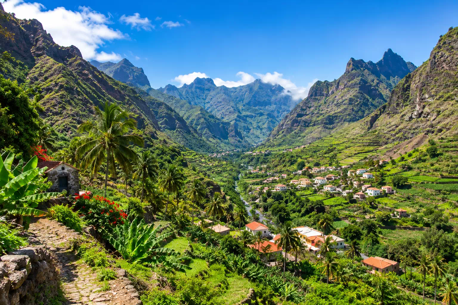 Vallée tropicale aux montagnes en terrasses