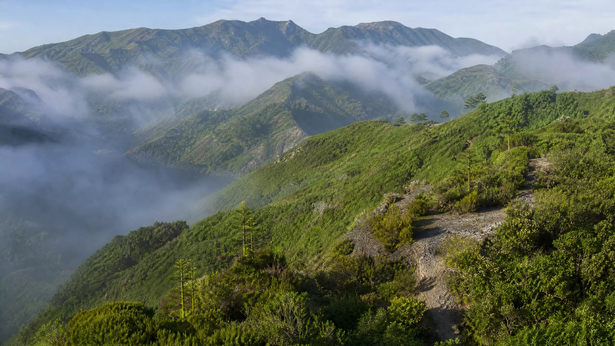 Montagnes de la Serra da Malagueta, Santiago