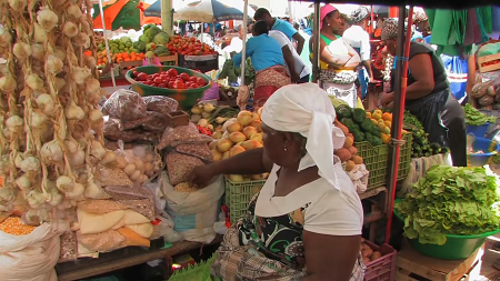 Paysage Fogo cap vert